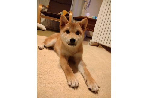 写真44975_2