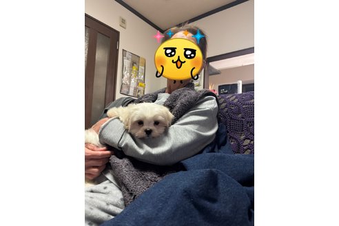 写真44995_1