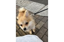 写真_1