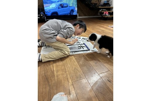 写真45090_2