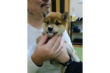 写真_1