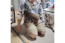 写真_3