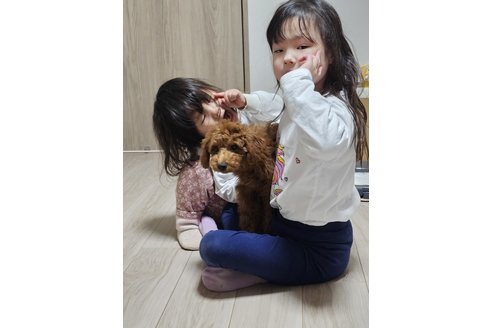 写真45188_1