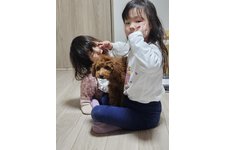写真45188_1