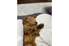 写真45454_1