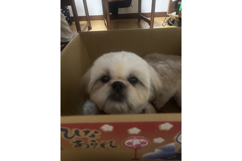 写真45481_3