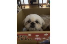 写真45481_3