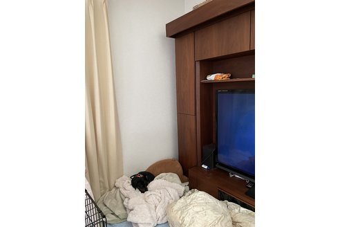 写真45532_1