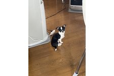 写真45535_1