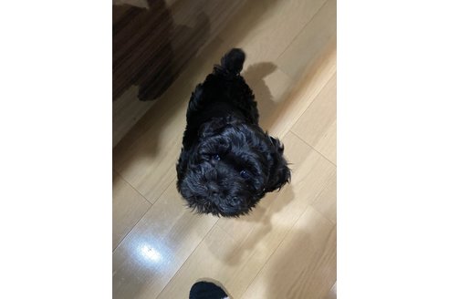 写真45553_1
