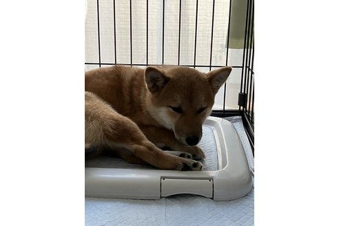 写真45572_1