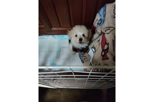 写真45635_2
