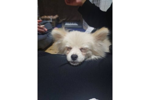 写真45776_1
