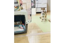 写真46459_1