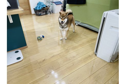 写真46459_3