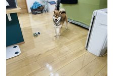 写真46459_3