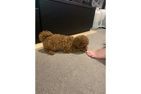 写真46479_1