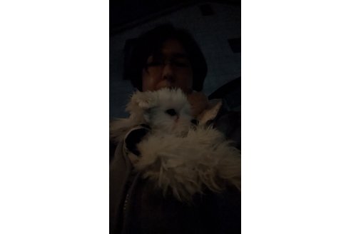 写真46499_1