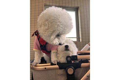 写真46553_4