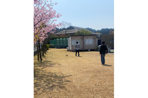 写真46616_3