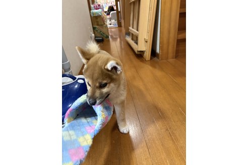 写真47120_2