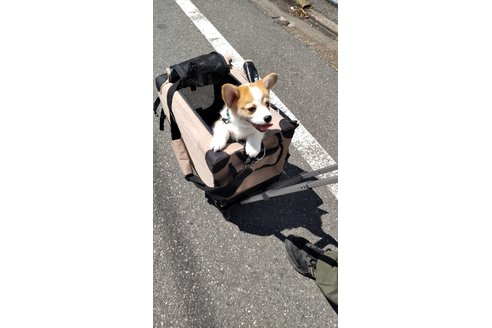 写真47460_4