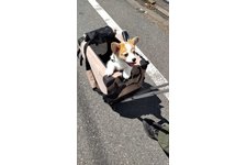 写真47460_4