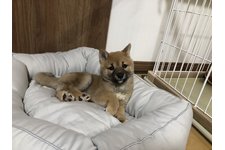 写真47469_1