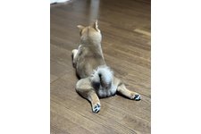 写真47475_1