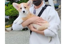 写真47521_2