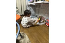写真_2