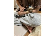 写真47526_2