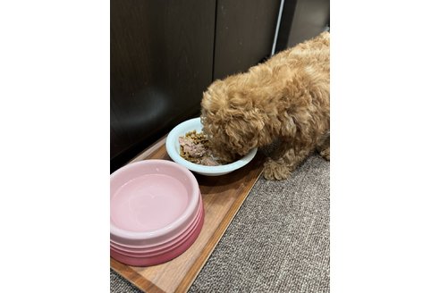 写真47556_1