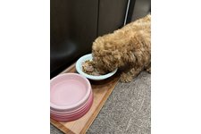 写真47556_1