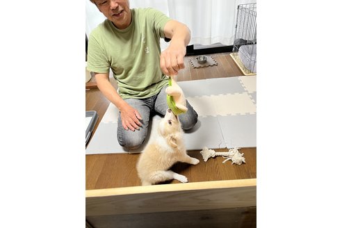 写真47565_3