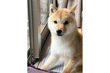 写真47579_3