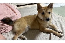 写真47592_3