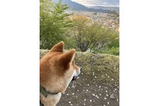 写真47623_2
