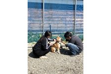 写真47623_4