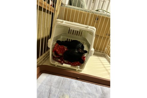 写真47626_4