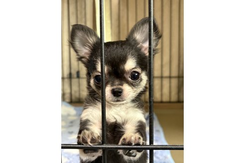 写真47656_1
