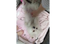 写真47657_1