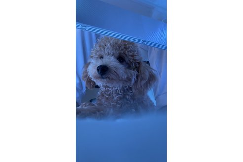 写真47662_1