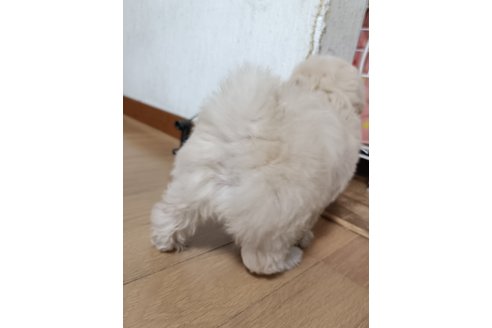 写真47671_2