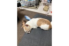 写真47686_3
