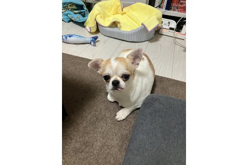 写真47686_4