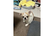 写真47686_4