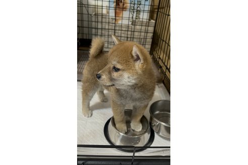 写真47699_1