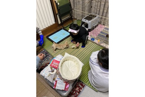 写真47714_1