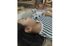 写真47721_1
